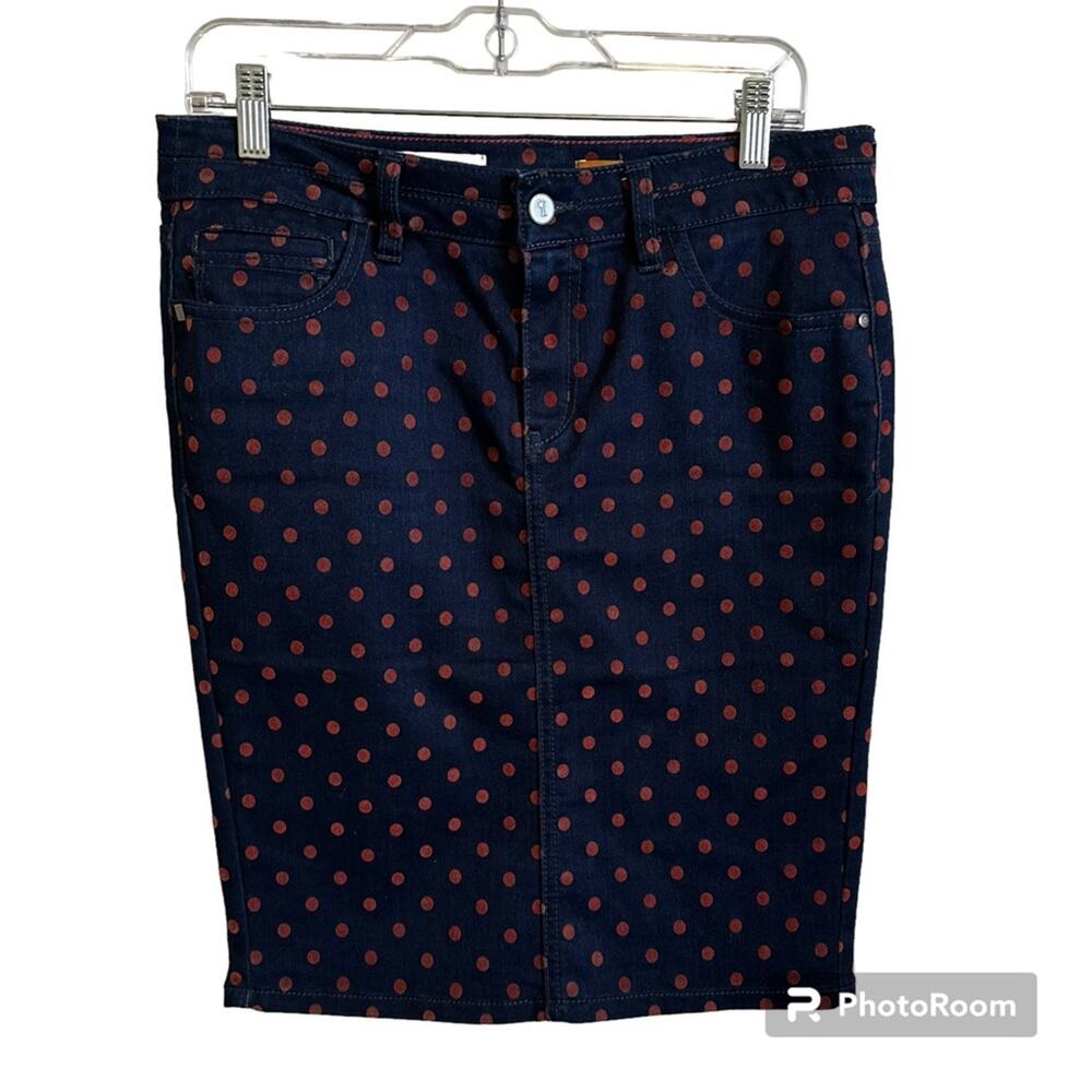 Pilcro and‎ the letter press Anthropologie women’s skirt medium